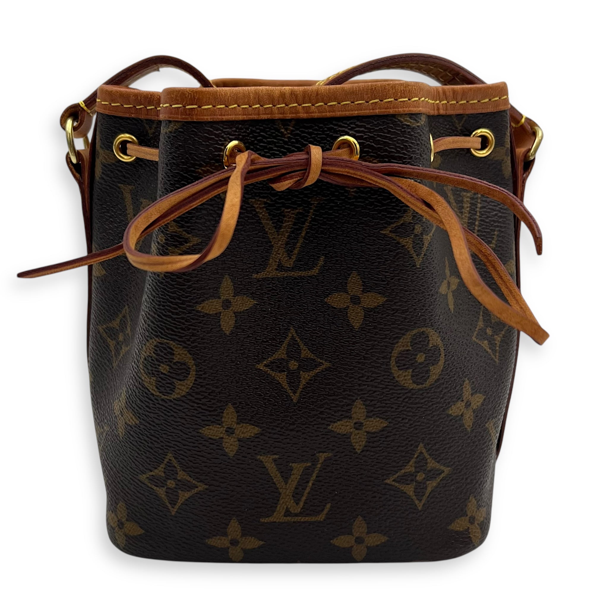 Noe Bucket Bag Nano Brown in Monogram Coated Canvas, Gold hardware