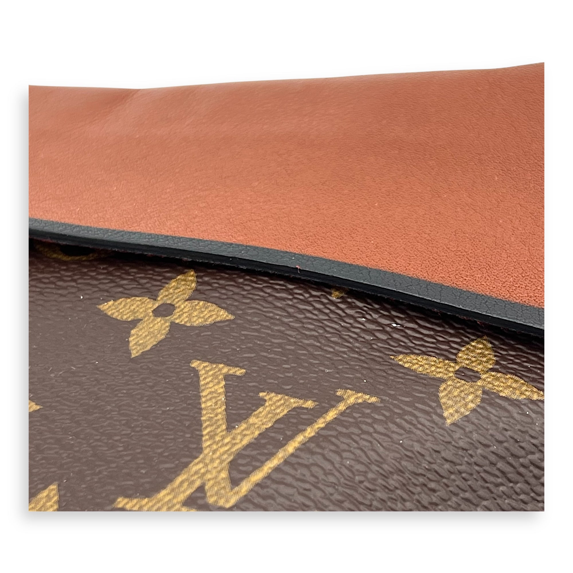 Tuileries Pouch Brown in Monogram Coated Canvas, Gold hardware - Image 10